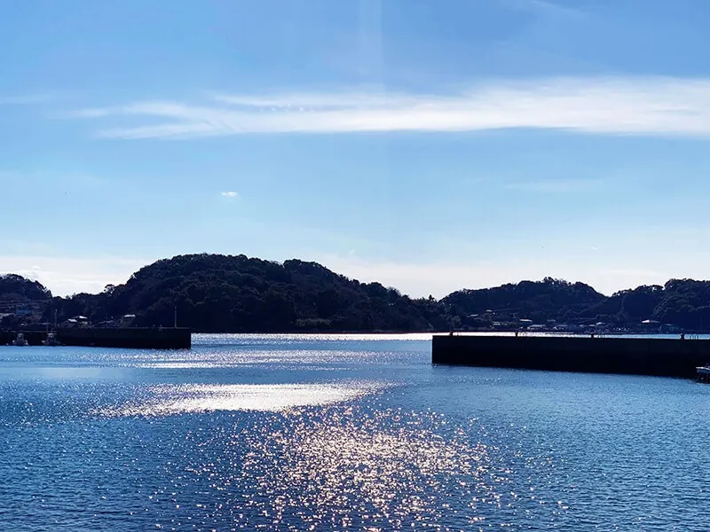 ホームページ公開につき準備中